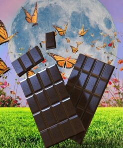 Mushroom Chocolate