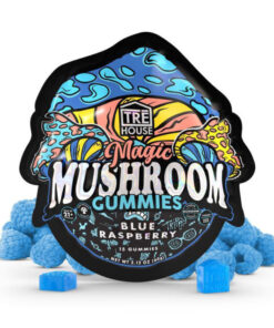 tre house gummies , tre house mushroom gummies , tre house gummies , tre house magic mushroom gummies , buy magic mushshrooms gummies , tre house mushroom gummies near me , trehouse mushroom gummies , magic mushies gummies shrooms gummies , treehouse gummies , trehouse magic mushroom gummies , magic mushroom gummies near me , magic mushroom gummies , tre house magic mushroom gummys , tre house magic gummies , trehouse mushroom.gummies , mushroom gummies , tre house tree house gummies , tre mushroom gummies , tre house shroom gummies , magic mushroom.gummies , tre house trē house mushroom gummies , treehouse mushroom gummies , magic mushrooms gummies near me , tre gummies , tre house magic mushrooms gummies , the real tre house gummies , treehouse magic gummies , tre house gummy , tre house gummy , tre house mushroom gummy , magic mushrooms gummies treehouse