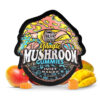 tre house gummies , tre house mushroom gummies , tre house gummies , tre house magic mushroom gummies , buy magic mushshrooms gummies , tre house mushroom gummies near me , trehouse mushroom gummies , magic mushies gummies shrooms gummies , treehouse gummies , trehouse magic mushroom gummies , magic mushroom gummies near me , magic mushroom gummies , tre house magic mushroom gummys , tre house magic gummies , trehouse mushroom.gummies , mushroom gummies , tre house tree house gummies , tre mushroom gummies , tre house shroom gummies , magic mushroom.gummies , tre house trē house mushroom gummies , treehouse mushroom gummies , magic mushrooms gummies near me , tre gummies , tre house magic mushrooms gummies , the real tre house gummies , treehouse magic gummies , tre house gummy , tre house gummy , tre house mushroom gummy , magic mushrooms gummies treehouse