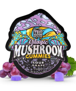 tre house gummies , tre house mushroom gummies , tre house gummies , tre house magic mushroom gummies , buy magic mushshrooms gummies , tre house mushroom gummies near me , trehouse mushroom gummies , magic mushies gummies shrooms gummies , treehouse gummies , trehouse magic mushroom gummies , magic mushroom gummies near me , magic mushroom gummies , tre house magic mushroom gummys , tre house magic gummies , trehouse mushroom.gummies , mushroom gummies , tre house tree house gummies , tre mushroom gummies , tre house shroom gummies , magic mushroom.gummies , tre house trē house mushroom gummies , treehouse mushroom gummies , magic mushrooms gummies near me , tre gummies , tre house magic mushrooms gummies , the real tre house gummies , treehouse magic gummies , tre house gummy , tre house gummy , tre house mushroom gummy , magic mushrooms gummies treehouse