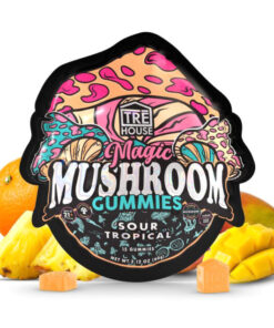 tre house gummies , tre house mushroom gummies , tre house gummies , tre house magic mushroom gummies , buy magic mushshrooms gummies , tre house mushroom gummies near me , trehouse mushroom gummies , magic mushies gummies shrooms gummies , treehouse gummies , trehouse magic mushroom gummies , magic mushroom gummies near me , magic mushroom gummies , tre house magic mushroom gummys , tre house magic gummies , trehouse mushroom.gummies , mushroom gummies , tre house tree house gummies , tre mushroom gummies , tre house shroom gummies , magic mushroom.gummies , tre house trē house mushroom gummies , treehouse mushroom gummies , magic mushrooms gummies near me , tre gummies , tre house magic mushrooms gummies , the real tre house gummies , treehouse magic gummies , tre house gummy , tre house gummy , tre house mushroom gummy , magic mushrooms gummies treehouse